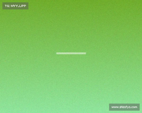 德甲教练的智慧与挑战如何塑造球队未来发展与战术革新 德甲教练的智慧与挑战如何塑造球队未来发展与战术革新