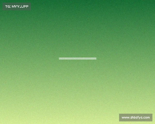 法甲联赛背后的足球文化与社会影响探索：从球迷热情到城市发展